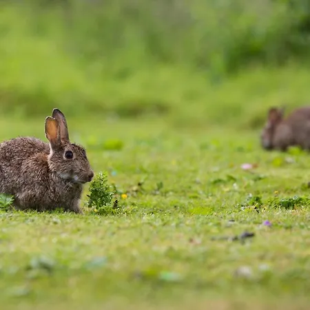 Yorkshire Dales 16 By Together Travel - 3-bed Premium Ensuite Richmond (North Yorkshire)